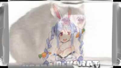 reject peko, return to rrat