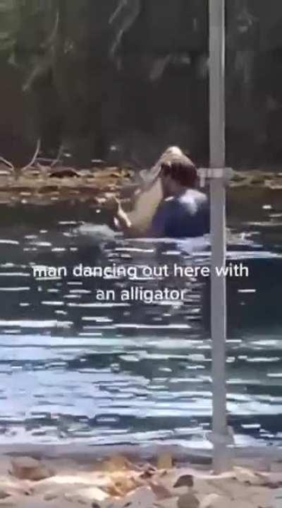 Dancing with an Alligator