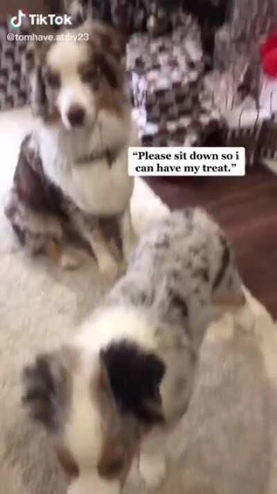 the wink at the end!