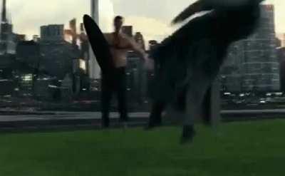 What did Zack Snyder mean by this?