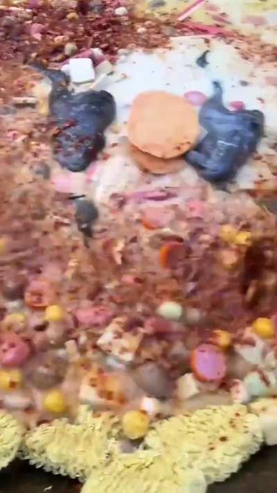 No wonder chinese has a good cuisine