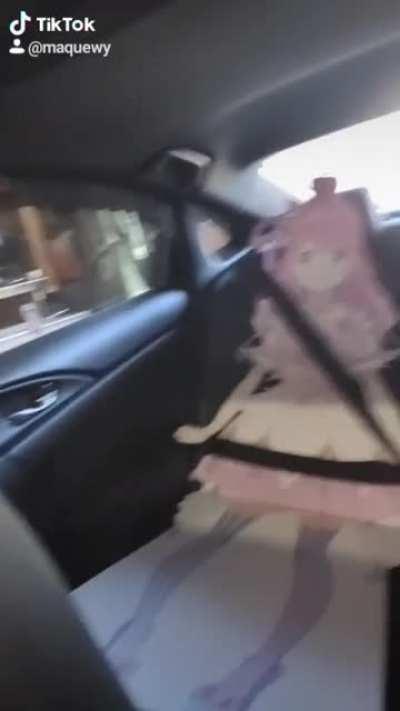 Took Luna grocery shopping today