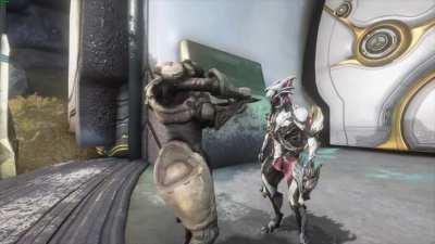 I saw someone who made one of these using Inaros, so I felt the need to do it with Nidus.