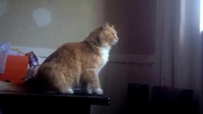 I can watch this over and over and I still lose my crap every single time.