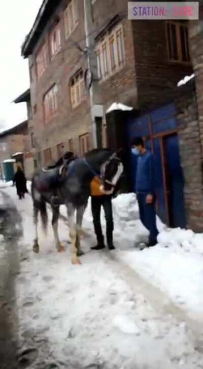 Amazon Delivery Man Arrives On Horseback In Snow-Covered Srinagar