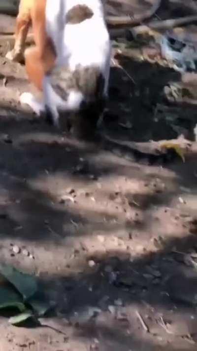 Personal massage therapist