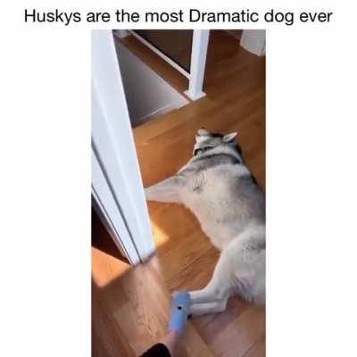 Sean seems to like these a lot