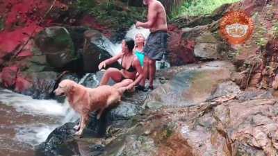 Quem me dera ser um peixe...