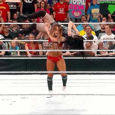 Paige was owned by Nikki Bella