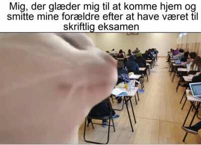 Andre med Corona pga eksamener?