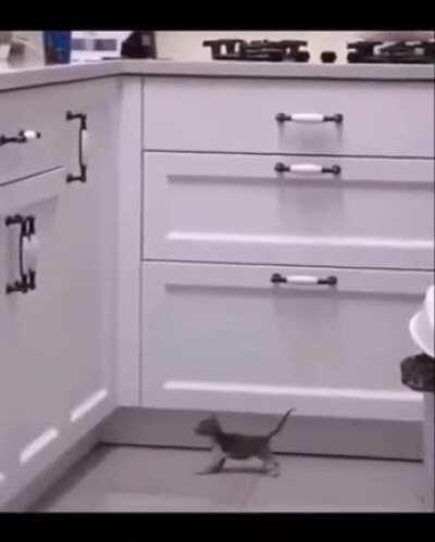 Basically... He's very tiny