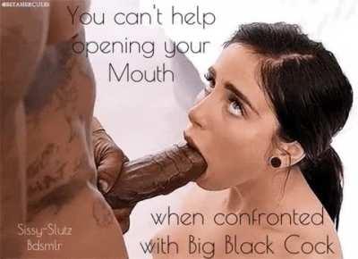 [discord ljchapperz#9510] feeding kinky + hung gooners