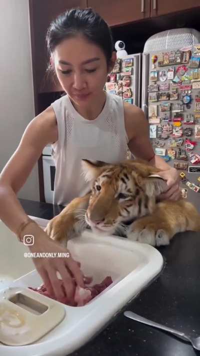 Pov: Erkek çoğunluklu aile