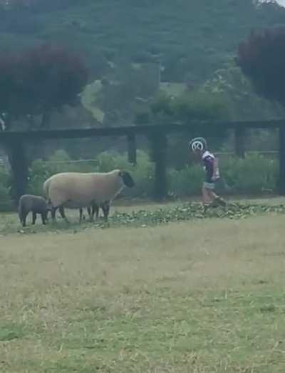 You know there's a dad behind the camera trying not to laugh