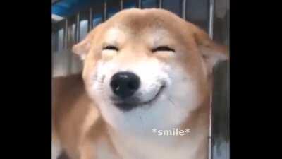 ¿Qué onda D o o m e r G v n g como andan todo bien todo piola :D? les dejo estos videos si alguien esta triste (por lo menos a mi me alegran 👉👈🐔)