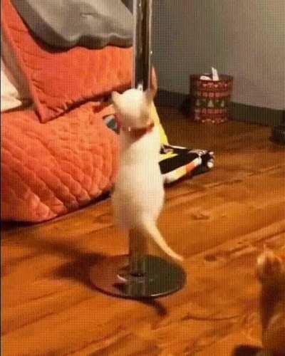 Dancing on the pylon