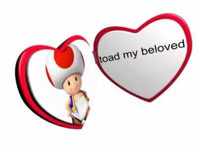 very good picture of toad