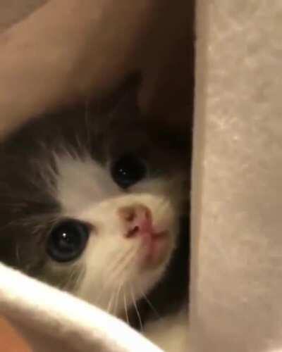 He just wakeup because he is hungry