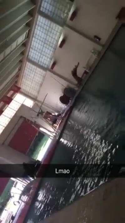 Friend on the high dive a few years back.