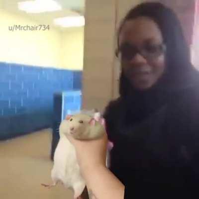 I am back. Thanks for the HD rat. There will be much more videos to come. 