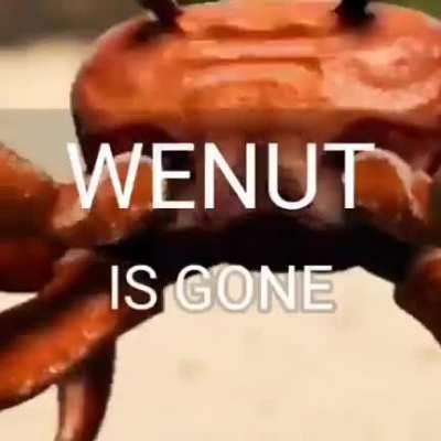 Goodbye Wenut Hello Consecrated Hell