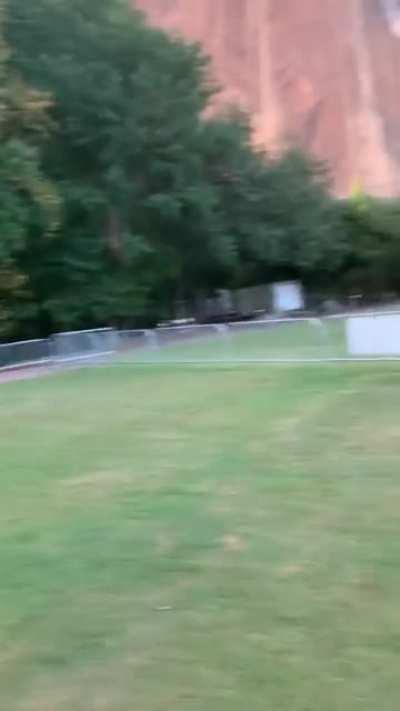 Deer gets stuck twice in a row.