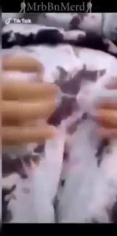 Videonun kalitesi bok gibi