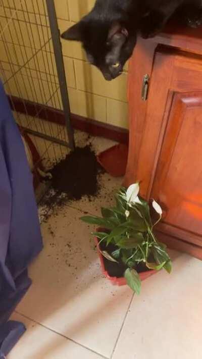 They really are assholes😭