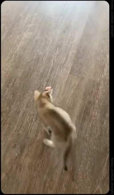 Too risky to bite, maybe next time