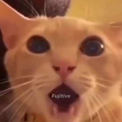 Some more bullshit for y'all 