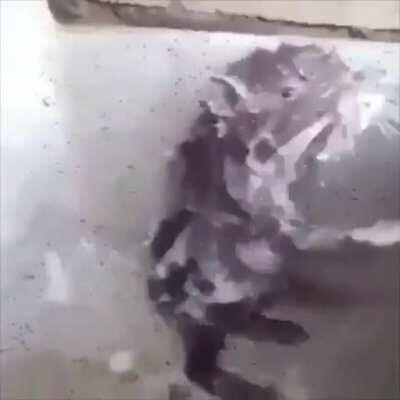 New York niggas showering