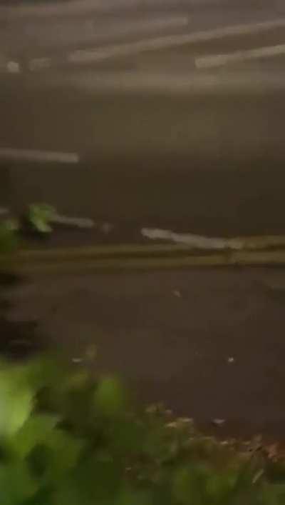 Really shifts up a gear towards the end