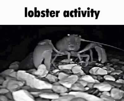 as of today I am officially aids free (never had aids before)