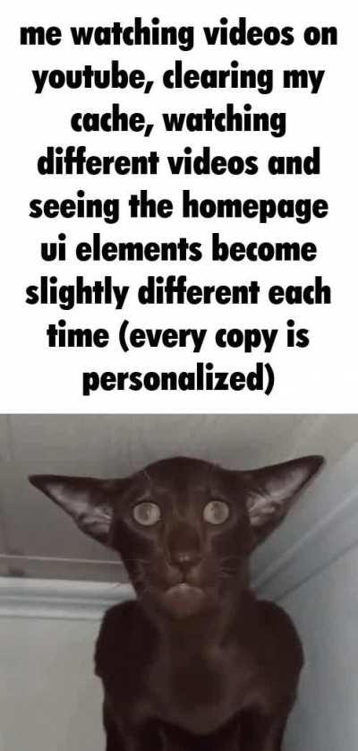 the layout literally changes I swear i'm not delusional