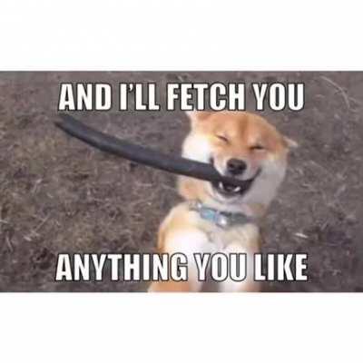 Le Bidding has arrived