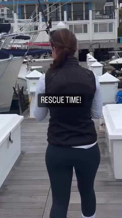 Bros help migrating birds blown out to sea by high winds, get back to land