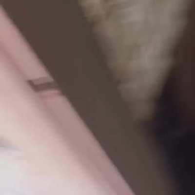 woman destroys her date’s motel room after he found out she was trans