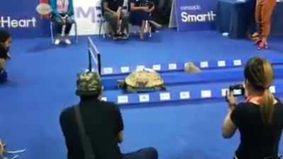 Como o Cellbit disse 