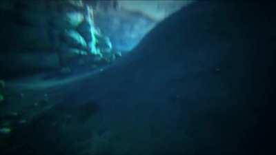 This game is so beautifu-