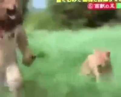 Explains why this sub exists