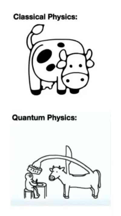 Quantum physics in a nutshell