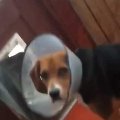 "Sharon, please just put down the phone and help me.&rdquo;