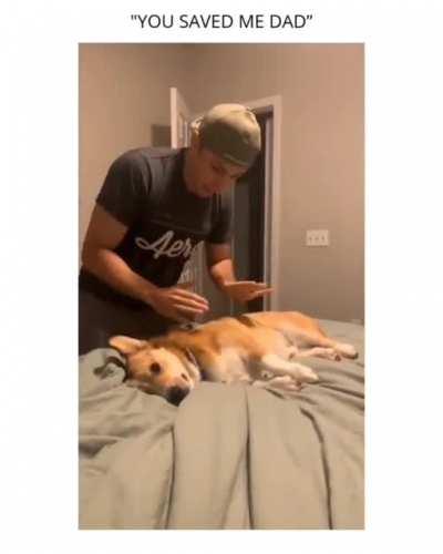 This Dog did one of the best acting of dying and coming back to life.