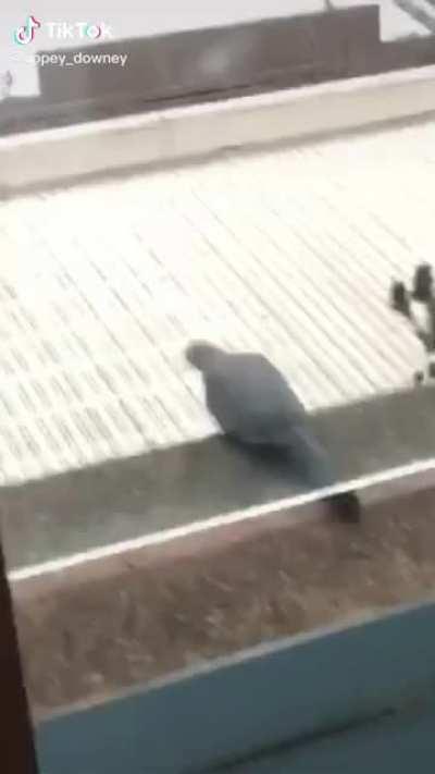 See you next year... Or not