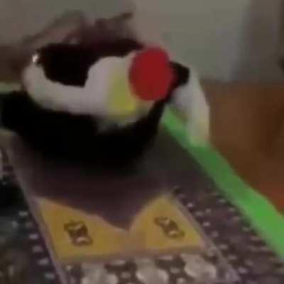 Bosnian inventionðªð¿ðªð¿ðªð¿ðªð¿