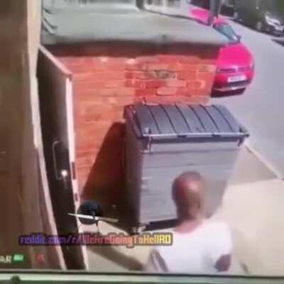 cucklee surprins cacatpostand pe wagthro