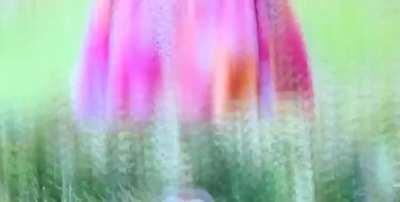 Someone done let Carole Baskin be on Dancing With the Stars