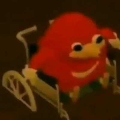 uiuii udizin curinga