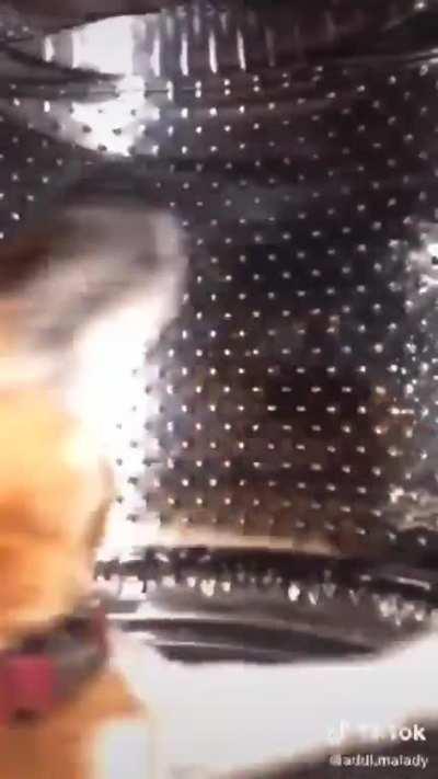 Era: unknown, genre: Lofi?, Artist type: male singer