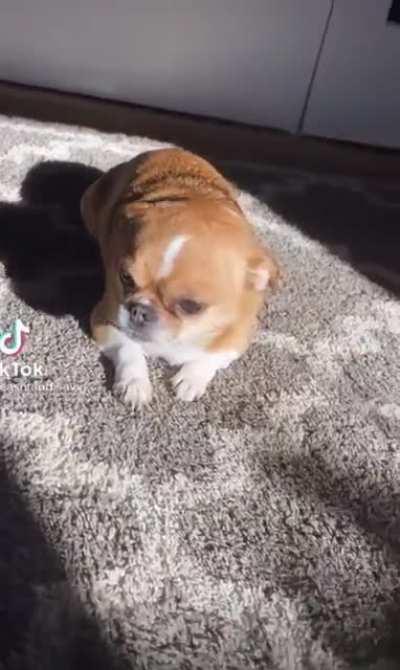 handsome boy in the sun